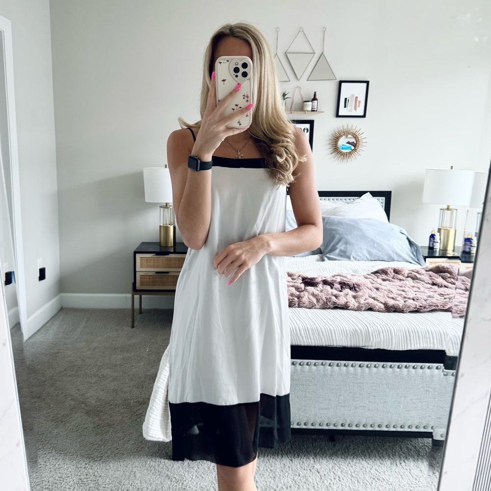 Vintage Aritzia Silver Silk Dress